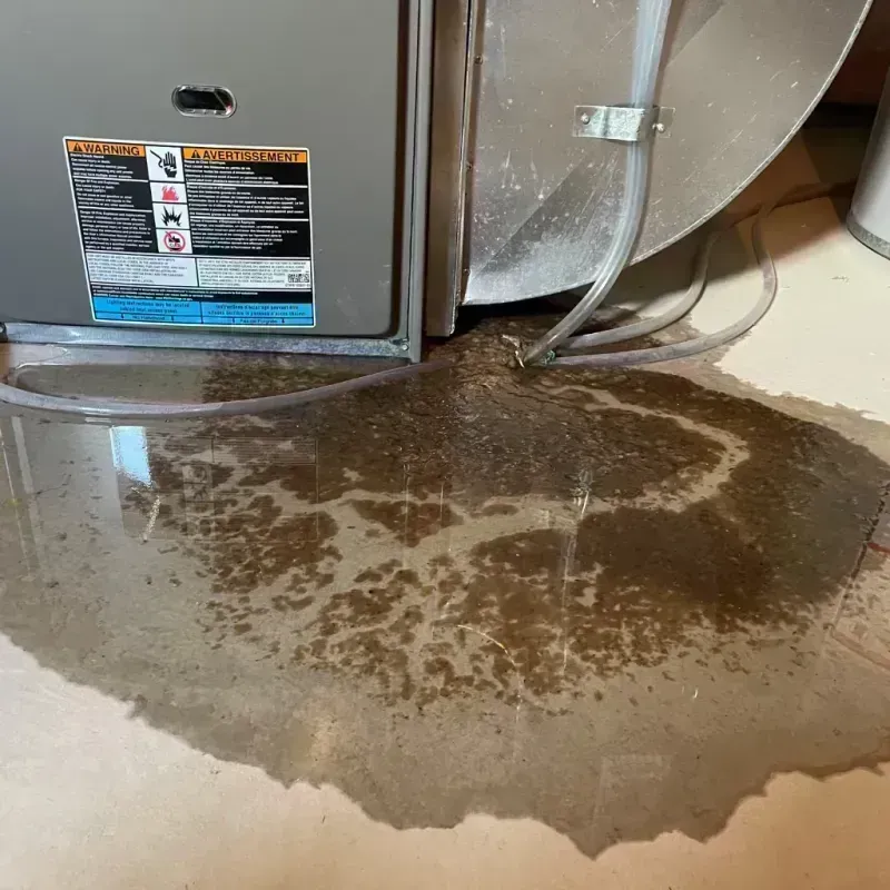 Appliance Leak Cleanup in Willow Oak, FL